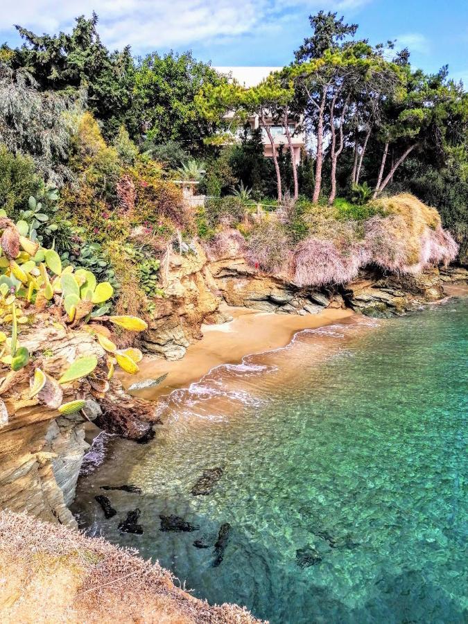 Olive Green House Agia Pelagia  Bagian luar foto